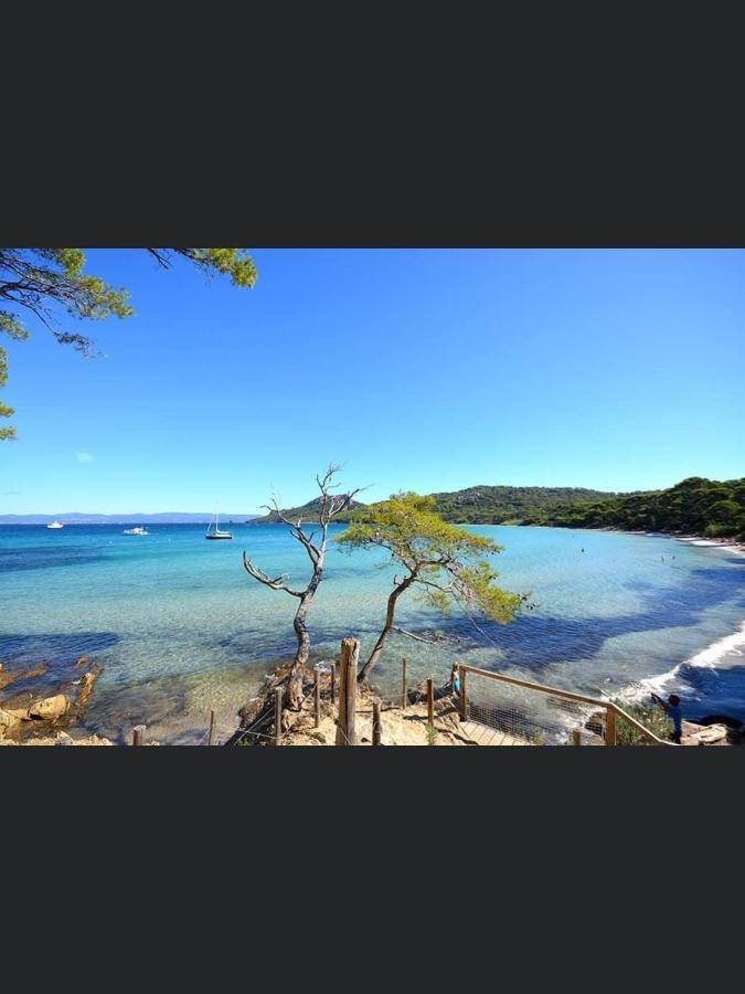 Appartement Pieds Dans L'Eau Vue Mer Bormes Les Mimosas Екстериор снимка
